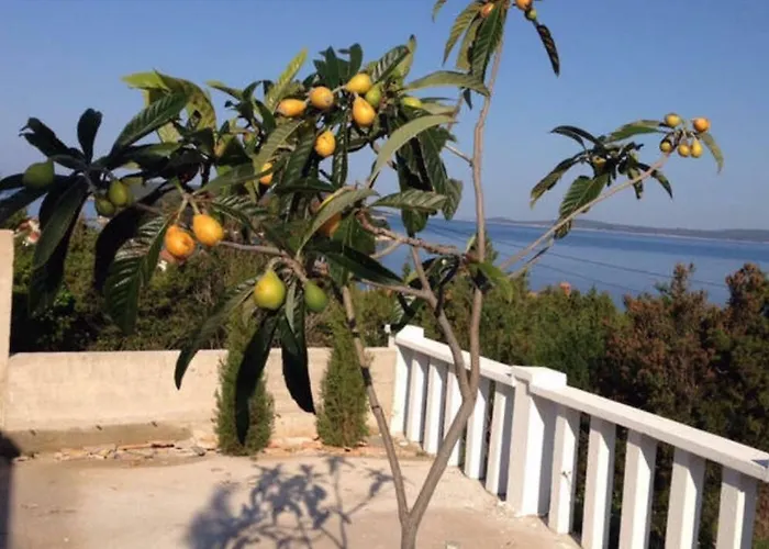 Paradise Regained Vila *