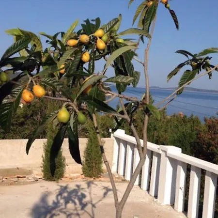 Paradise Regained Villa *