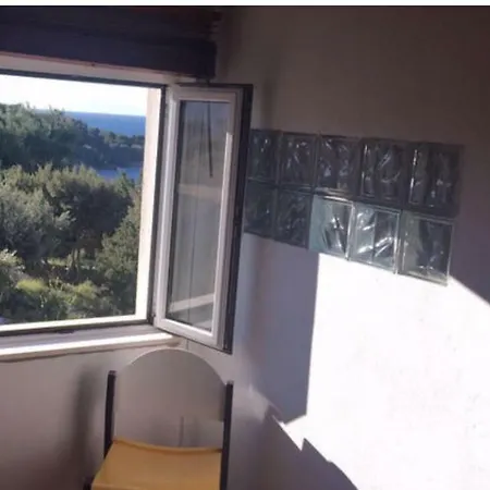 Paradise Regained Maslinica