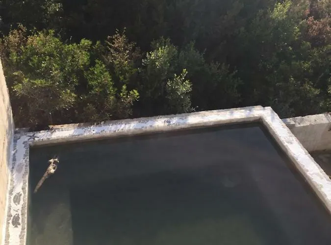 Villa Paradise Regained